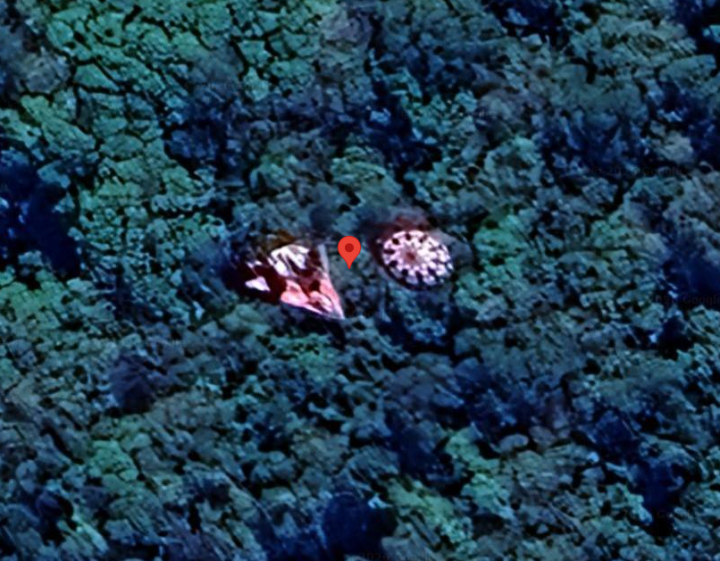 Coordinates: 25°09'09.89"S 49°24'28.18"W